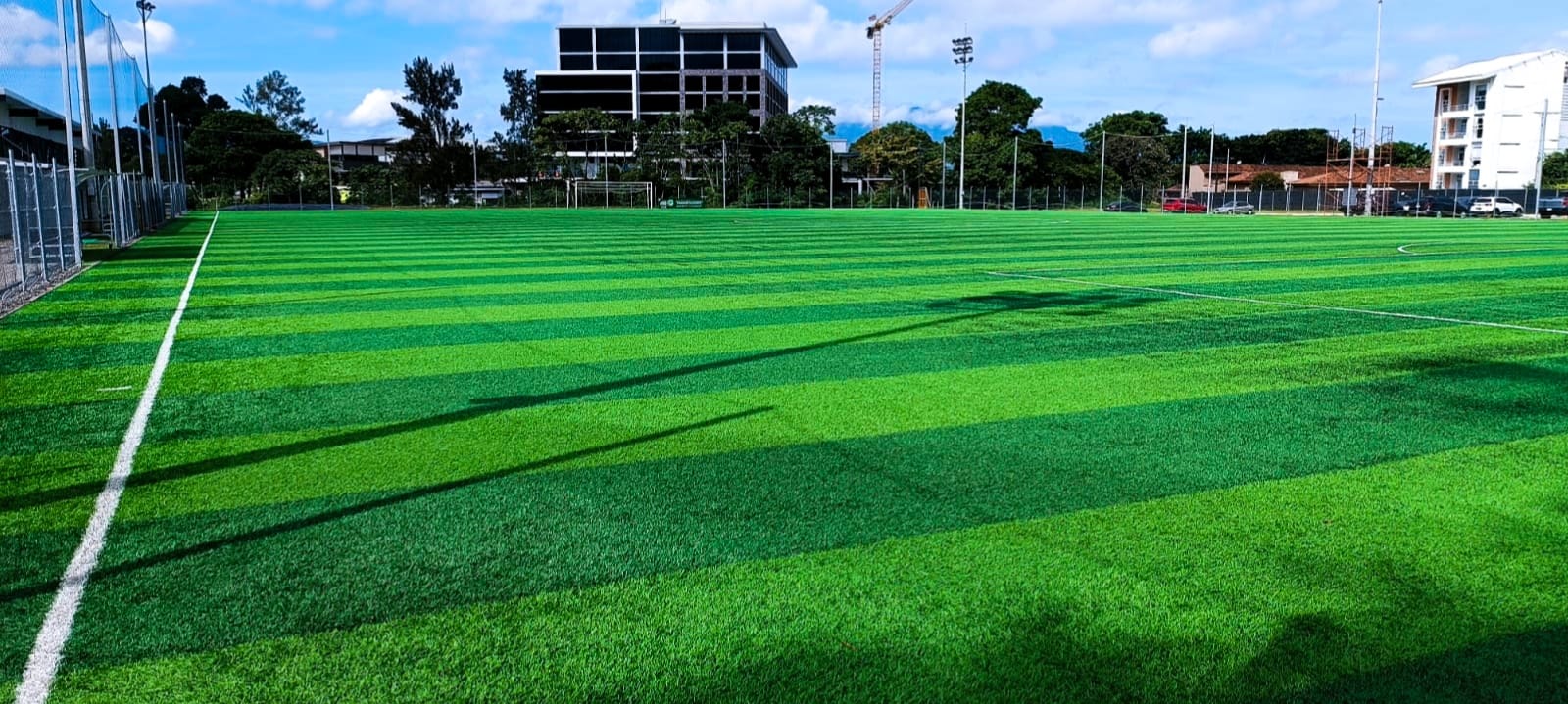 Césped Sintético para cancha